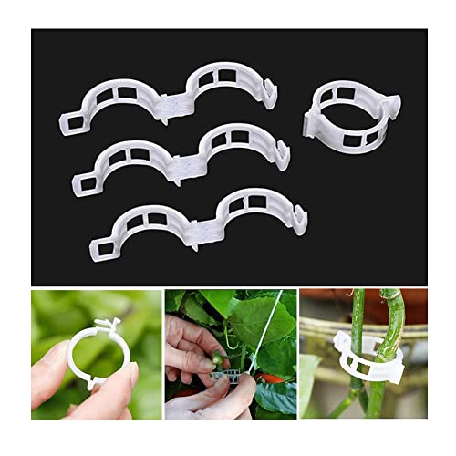 Clip de fijación de planta, Gancho de clip de crecimiento, Gancho de hebilla de ratán de tomate clip de injerto, Clip de vid de plástico