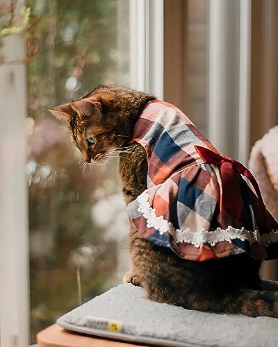 Fitwarm FWNLACEPLAIDDRESS_S_A7083 Christmas Elegant Lace Plaid Dog Dress thumb #1