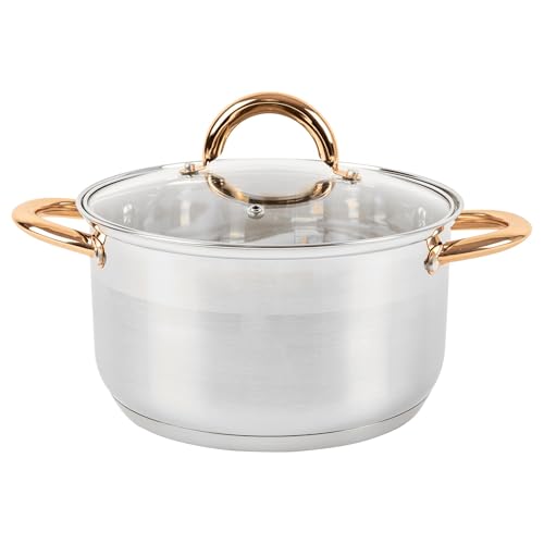 Yadlan Olla de Acero Inoxidable con Tapa 5 litros, 24cm Baja Cacerola para Todo Tipo de Cocinas Incluida Induccion, Escala de Medición Orificios de Ventilación, Cazuela de Cocina
