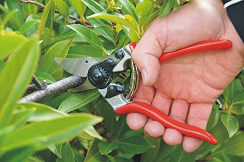 Felco Pruning Shears (F 6) - High Performance Swiss Made One-Hand Garden Pruners - 100052385 #TOP2