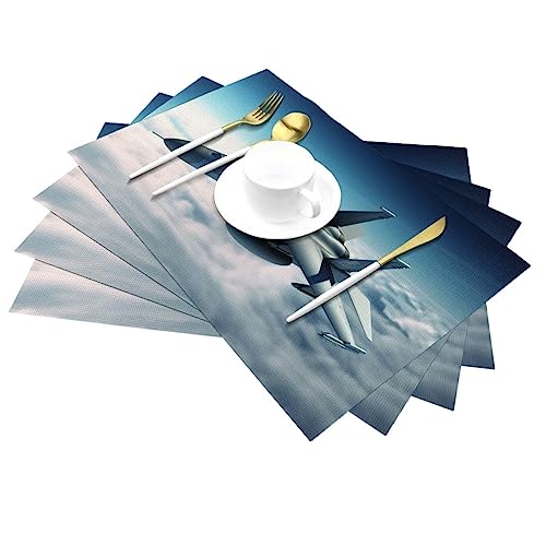 Set de table tissé PVC antidérapant et résistant à la chaleur 30x45cm - 5