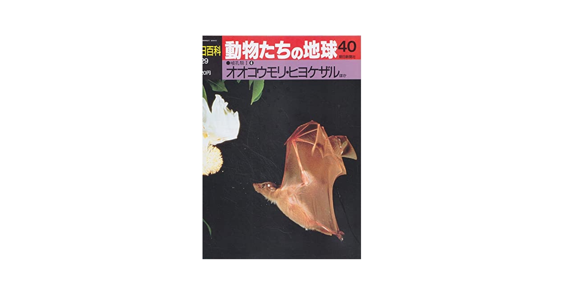 Amazon.co.jp: 週刊 朝日百科 動物たちの地球 40 哺乳類Ⅰ④
