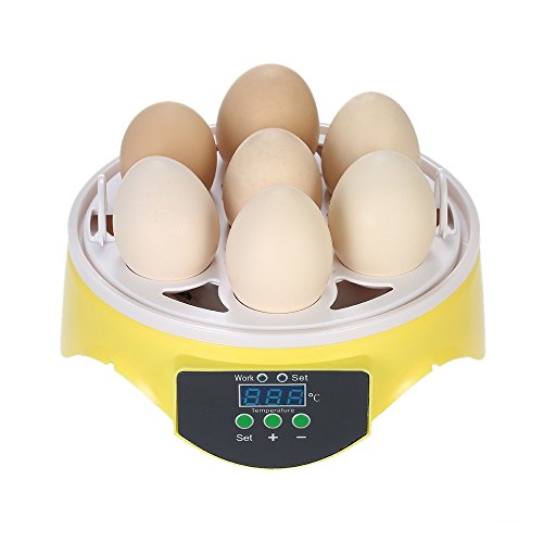 Homesen 7 Ovos Mini Incubadora Digital Incubadora de Ovos Transparente Máquina de Incubação Controle