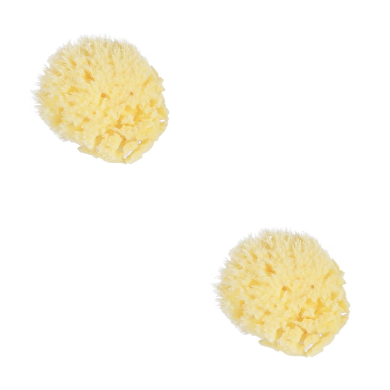 FRCOLOR 2piezas Esponja Natural De y Exfoliante Para Bebés y Adultos Sin Químicos y