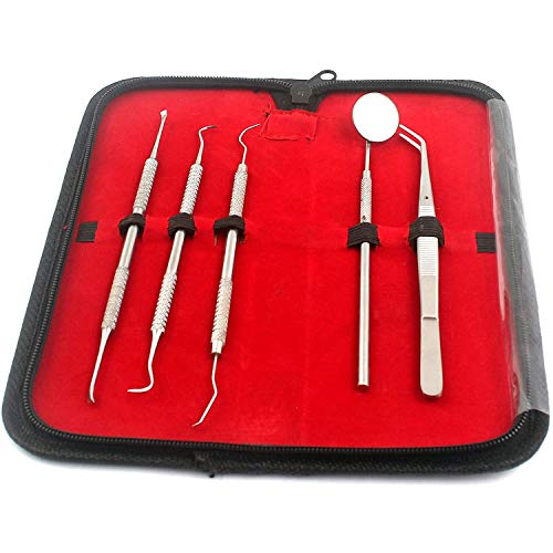 PRECISE CANADA: Dentist Tool KIT: Handpicked by The Best Dentists HYGIENIC; Dental & Gum Floss THREADERS; Plaque & TARTER Remover Built with HIGH Stainless Steel; PET Friendly with Leather Carry CASE