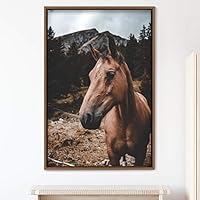 Framed Canvas Wall Art Horse Animals Dramatic Farmhouse/Country Horse Living Room Multicolor Photography - 16x24 inches