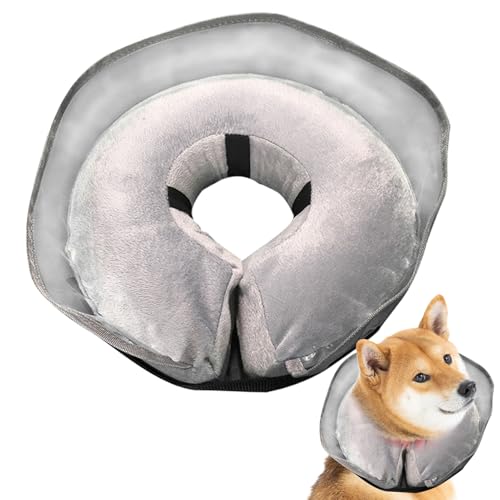 CꎮpGUxXJ[ | یp~`\veN^[ | C R[ ^ ,Dp̉񕜗p rߖh~ ̕یp