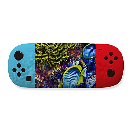 Étui de rangement pour lunettes poissons antichoc pour éviter la casse