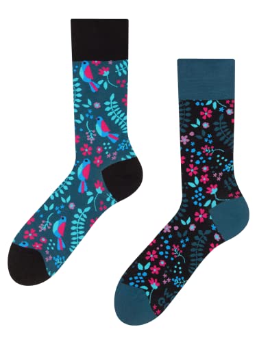 Dedoles Socken Unisex Damen Herren & Kinder Baumwolle viele lustige Designs 1 Paar Geschenk links rechts verschieden, Farbe Blau, Motiv Geheimer Garten, Gr. 39-42