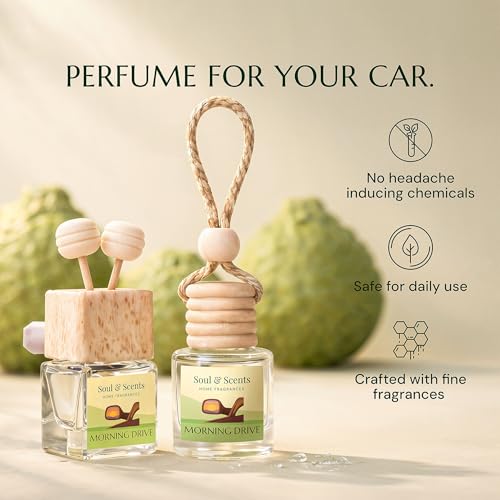 Image of Soul & Scents 16ml Luxury Car Perfumes Bergamot & Grapefruit | Morning Drive | 2-in-1 Hanging Pod & AC Vent Air Freshener | Premium Car Fragrance Accessory | Long Lasting Odour Eliminator | Pack of 2
