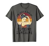 Ray Of Fucking Sunshine Rainbow Sarcastic Gifts