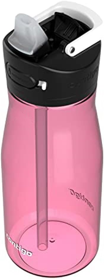 Contigo 24 oz. Ashland Chill 2.0 Water Bottle - Azalea