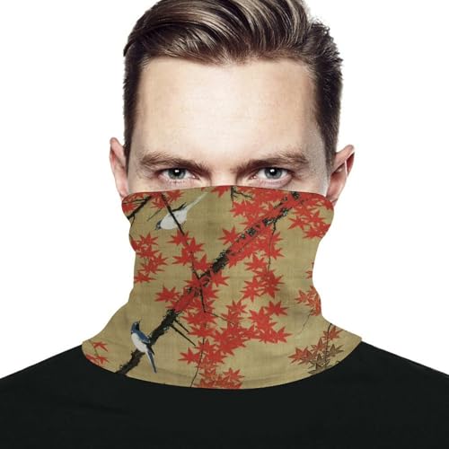 [JALCH] lbNEH[}[ ɓt gtא} Y fB[X lbNJo[ lbNK[h tFCXJo[  @\ UvJbg AEghA ʋ ʊw h ho  jp