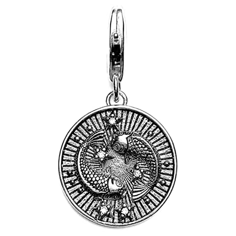 OYZY Zodiac Sign Pisces Charm Pendant Cover