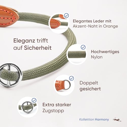 FREUDENTIER Zugstopp Halsband Hunde - Retriever Halsband Olivgrün (M)