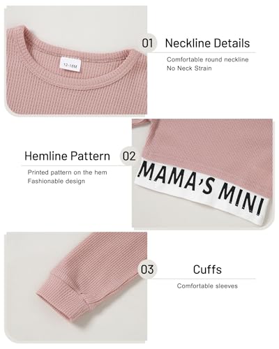 ZOEREA Toddler Baby Girls Clothes Outfits Long Sleeve Pullover Sweatshirt Tops + Pants Set Fall Winter Sweatsuits 1-6T3