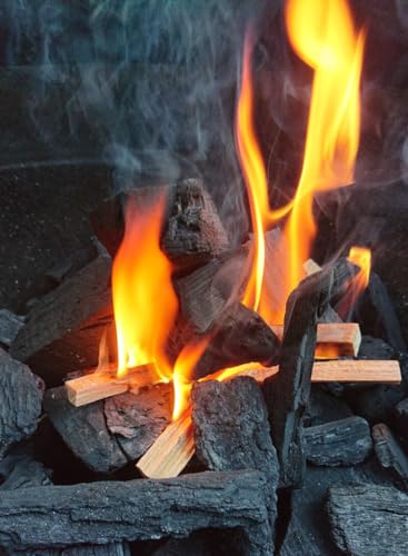 La Mejor comparativa de Iniciador de fuego sin humo para camping - los mas comprados. 29 Imagen adicional