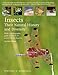 Insects: Their Natural History and Diversity: With a Photographic Guide to Insects of Eastern North America