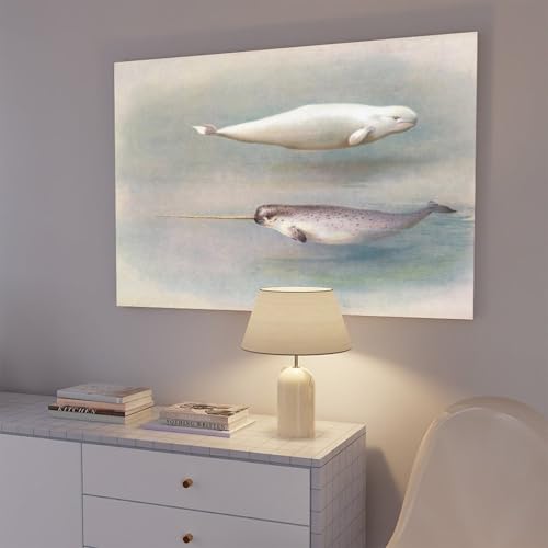 Affiche narval et baleine blanche Archibald Thorburn | Toile 40x60cm - 7
