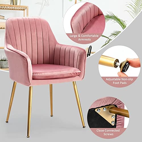 Image of Pair of 2 Stylish, Modern, Elegant & Comfortable Velvet Arms Chairs for Dinning Living Hotel Cafe (2 Chairs) (Pink)