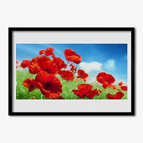Affiche encadrée 70x50 image photo salon maki plante nature cadre mdf