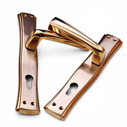 Yuksel Door Handle Pair on Backplate with Euro Cylinder Keyhole Turkish Made Multiple Designs | زوج مقابض باب يوكسل زوج مع صفيحة وفتحة اسطوانة يورو صناعة تركية (1 Gold/Silver Efsane 837-508)