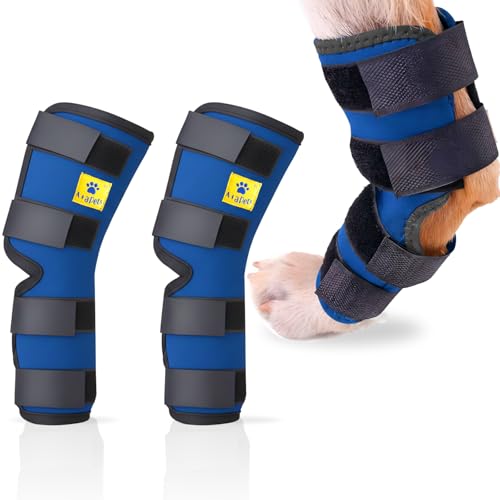 A+a Pets’ Hock Joint, Leg Sprint Brace Ankle Support & Mobility, Compression Wrap for Front & Hind Legs for Dogs | Sprain & Injury Prevention (1Pair, M)