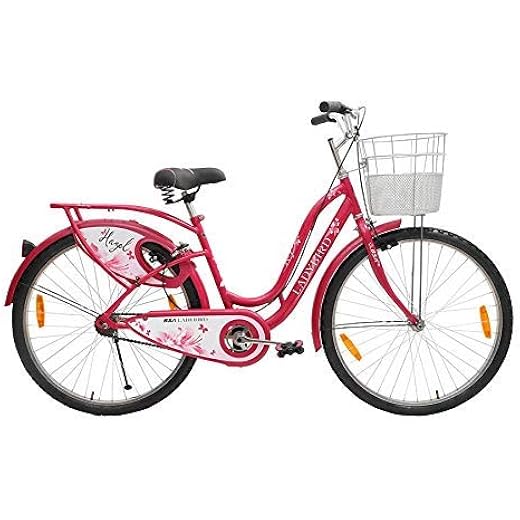 BSA Ladybird Hazel Cycle 24T