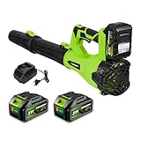 NewBeny Akku Gebläse, Akku Laubbläser mit 2 * 4000mAh Batterien, 6 Stufig Einstellbar, 288 MPH & 650 CFM Laubgebläse für Garten, Terrasse, Einfahrt, Laub, Staub, leichte Schneeräumung