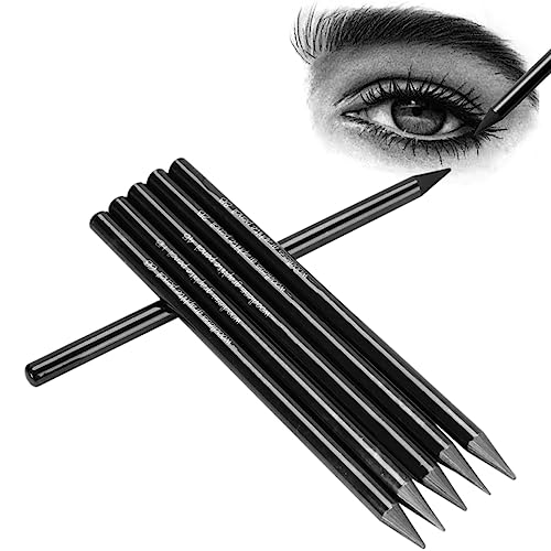 SIQITECHNO 6Pcs Woodless Graphite Pencils HB 2B 4B 6B 8B EE Drawing Sketching Pencils for Shading Blending Sketching Black Charcoal Pencils Drawing Pencils Art Supplies Set for Artists