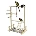Parrot Playground Bird Playground Playground Cockatiel Parco Giochi in Legno Persico Palestra Scala Scala