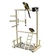 TiSkying Papagei Vogel Spielplatz, Papageien Playstand Papageien Spielstand Vogel Spielplatz Holz Barsch Gym Vogelständer Laufstall Leiter mit Feeder Cups Nymphensittiche,
