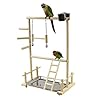 Papegaai, speelplaats, vogelspeelplaats, valkparkiet, speelplaats, houten baars, gymzaal, ladder, met feeder, cups…