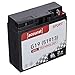 Produktbild Accurat Motorradbatterie G19-12V, 21Ah, 175A, zyklenfest, wartungsfrei, Gel - Starterbatterie, Batterie in Erstausrüsterqualität für Rasentraktor, Roller, Motorrad, Quad