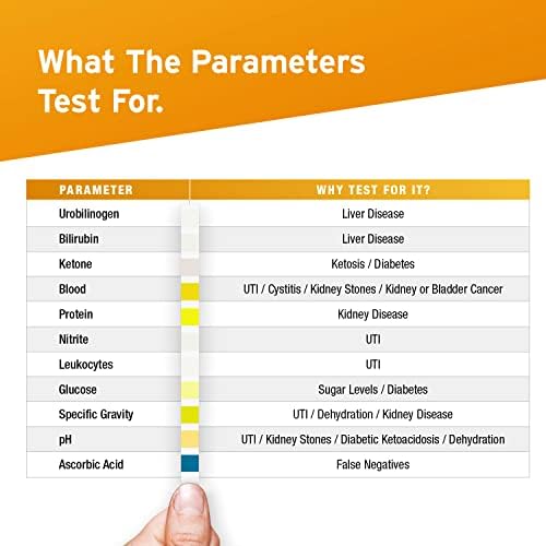 100 x Aydmed 11-in-1 Urinalysis Test Strips 11 Parameter Urine Test Strips for Urobilinogen, Bilirubin, Ketone, Blood, Protein, Nitrite, Leukocytes, Glucose, Specific Gravity, pH & Ascorbic Acid