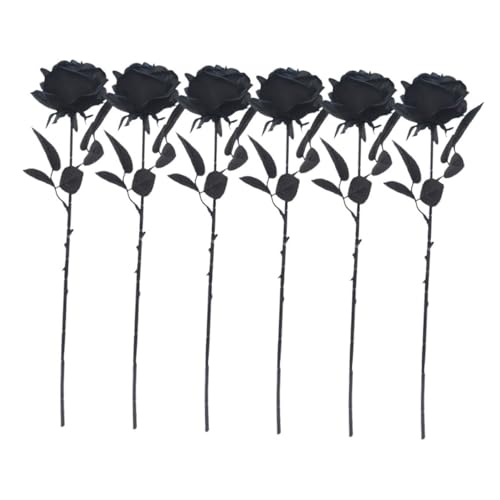 BIUDECO 6 Ԃ̃o ȏ A^b` EFfBOp[eB[̑ ̂̎} ̉Ԃ̌s ̎}   nEBp[eB[ z