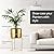 LB2 Gold Metal Planter with Removable Stand, Set of 2 11.5 inch & 8.5 inch, Mid Century Planter pots for Living Room, Office, Garden or Balcony, Flower Pot Decorative Gift with Brass Finish