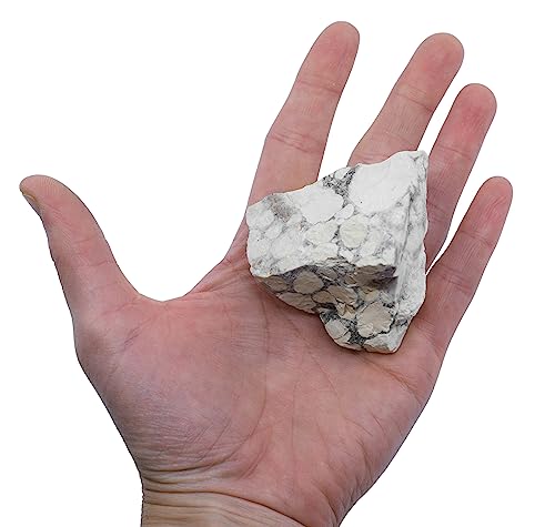 Image of EISCO Raw Conglomerate, Sedimentary Rock Specimen - Hand Sample Approx. 3 inch Geologist Selected & Processed Great for Science Classrooms- Eisco Labs