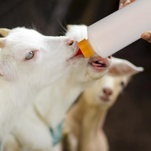 TOYANDONA Goat Bottles and Nipples - 5pcs Lamb Feeding Bottle Animal Milk Feeder 400 Ml with 5pcs Replacement Nipples for Feeding Sheep Goat Lamb Calf Livestock - Thumbnail 7
