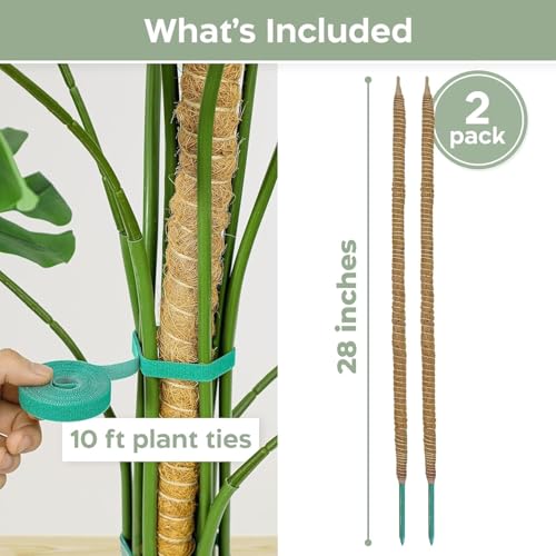 2 Pack 28'' Bendable Moss Pole Monstera Plant Support for Climbing Indoor Plants - Stakes for Potted Climbers - Tall Sticks Indoor Trellis for Houseplants - Accessories for Monstera Pot by K-Brands - Image 2