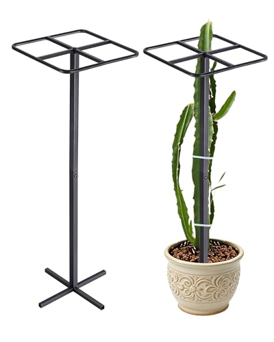 Metal Dragon Fruit Trellis 62 - Adjustable Heavy Duty Metal Plant Support with Square Top Design for Climbing Plants and Vertical Gardening Powder-Coated Black for Garden Patio Indoor Use