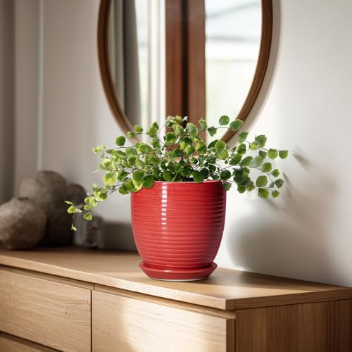 EPFamily 6 Inch Ceramic Plant Pot - Ceramic Pots for Plants, Round Planter with Drainage Hole and Saucer, Modern Flower Pots for Indoor Plants, Desk Home Office Decor, Plant Lover Gifts, Glossy Red by EPFamily - Used condition - Image 3