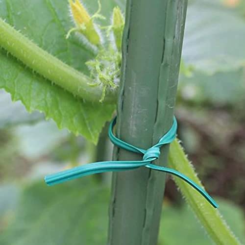 Garden Twine & Twist Ties 556Ft Aesalutoy Green Garden Plant Ties With Cutter For Gardening And Office Organization, Home(200M / 556Feet) #TOP7