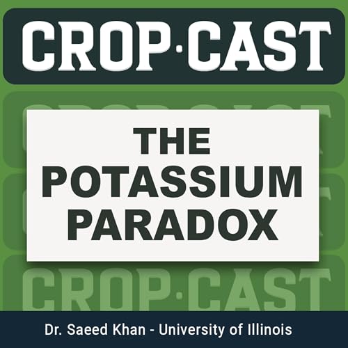 『Episode 43: The Potassium Paradox with Dr. S.A. Khan at University of Illinois』のカバーアート