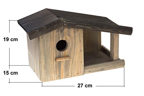 MAZUR International 4 x Nistkasten Natur für Blaumeisen & kleine Meisenarten aus Holz -wetterfest, Vogelhaus für Meisen… – Bild 5