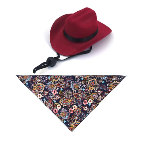 ̒ãJE{[CnbgƃnJ`̃ZbgRX`[zf[p[eB[̂߂̃ybgo[Xf[ߑ̃JE{[Cnbg