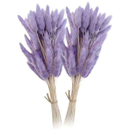 120 Flores secas Pampas Grass decorativas lavanda 50 cm miniatura 1