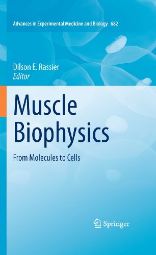 Muscle Biophysics: From Molecules to Cells (Advances in Experimental Medicine and Biology, 682)