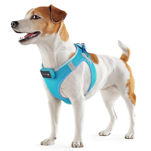 PcEoTllar Hundegeschirr Leuchtend, Leuchtgeschirr LED Aufladbar & Reflektierendes, Beleuchtetes Leuchtgeschirr für Welpe Klein Mittlere Hund, Atmungsaktiv Leucht Geschirr, Blau-S
