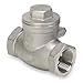 Swing Check Valve, 316 SS, 2 In., NPT